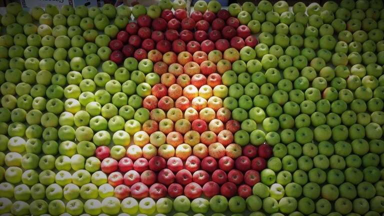 0812171436_35735876323_o