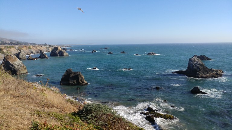 0812171751b_36148528390_o