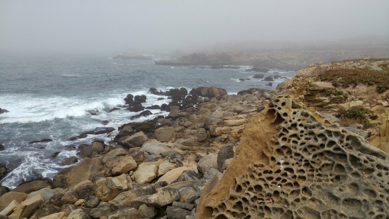 SonomaCoast-7