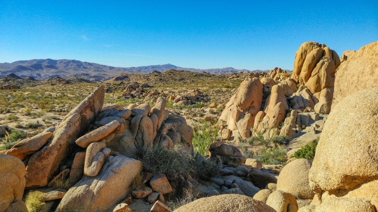 23993114078_7ef10857db_k