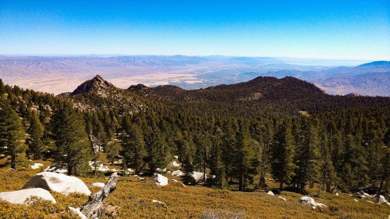 26132920979_63a3d180c9_k