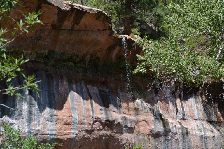 37171546921_d372ec8429_k