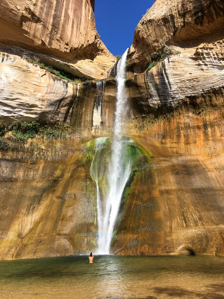 37331445225_dadea891be_k