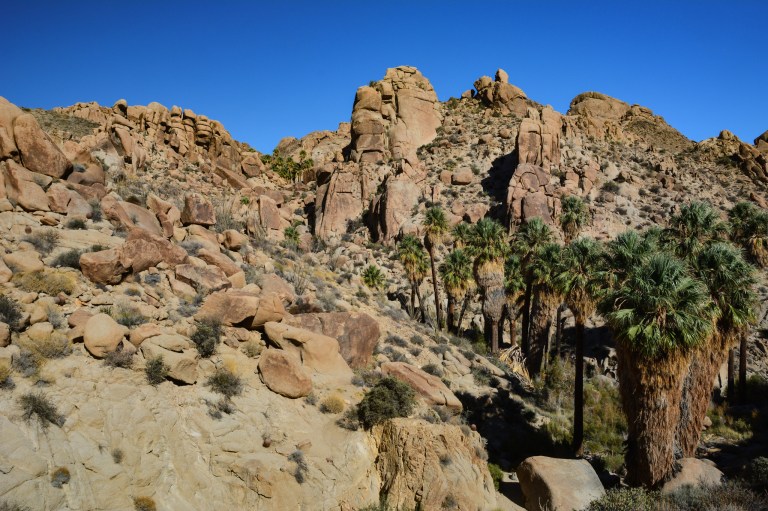 37882541306_6934128730_k