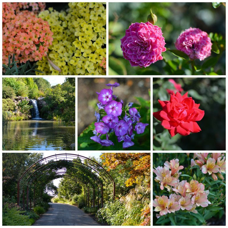 Red Butte Gardens