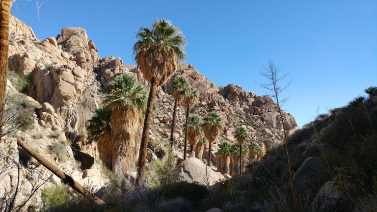 37135522954_84174679a1_k