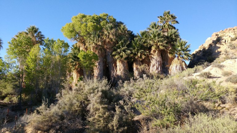 37135643134_9270086ba5_k