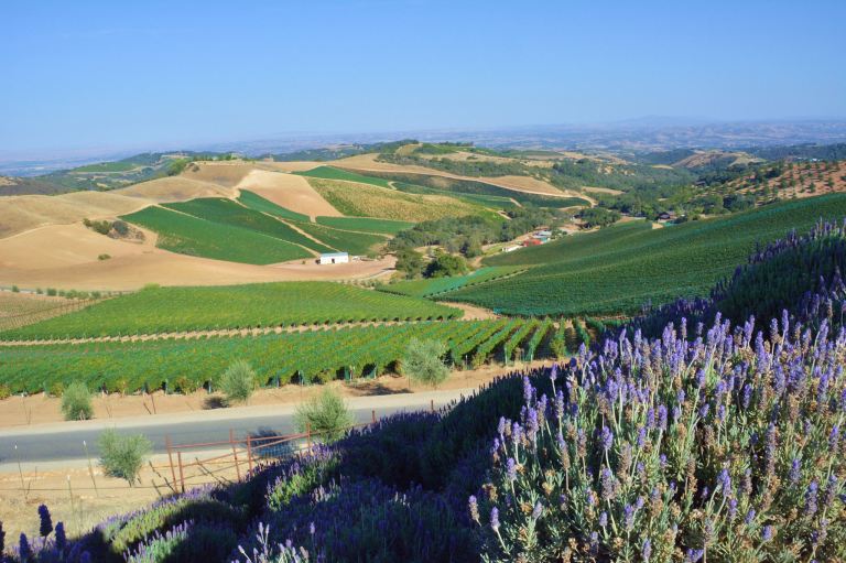 21031576498_4aa047da18_k