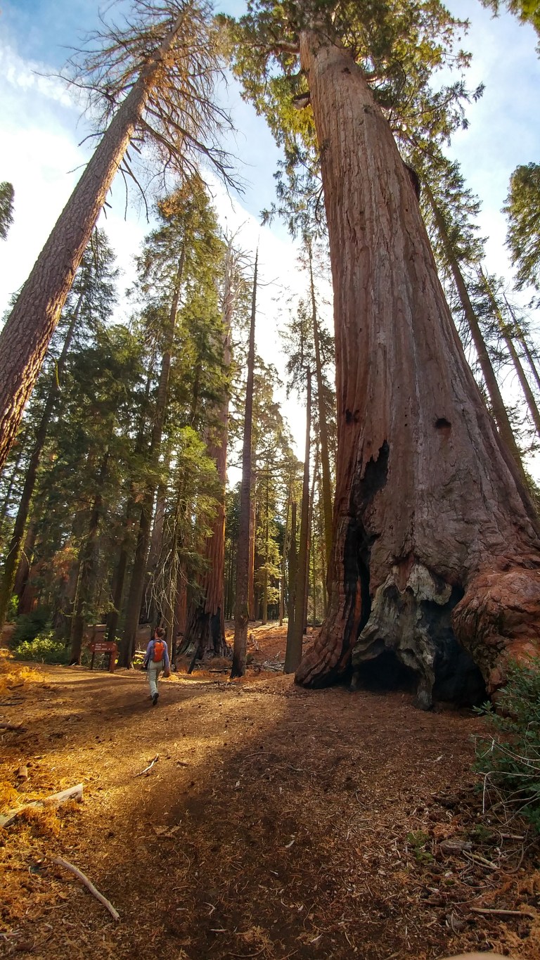 adobelightroom_39681854742_o