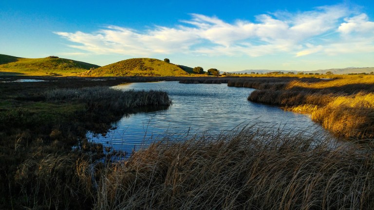 28416076819_844189eb6c_k