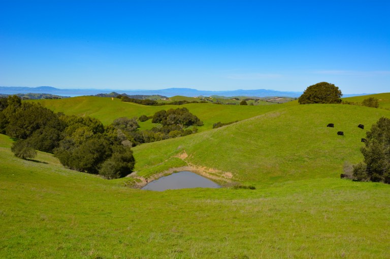 33410600675_3ed155b076_k