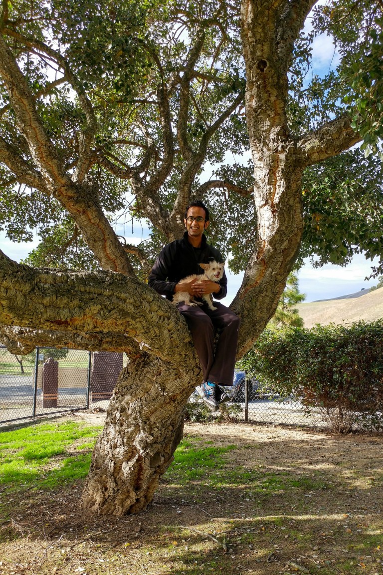 38569630646_e9634a1da8_k