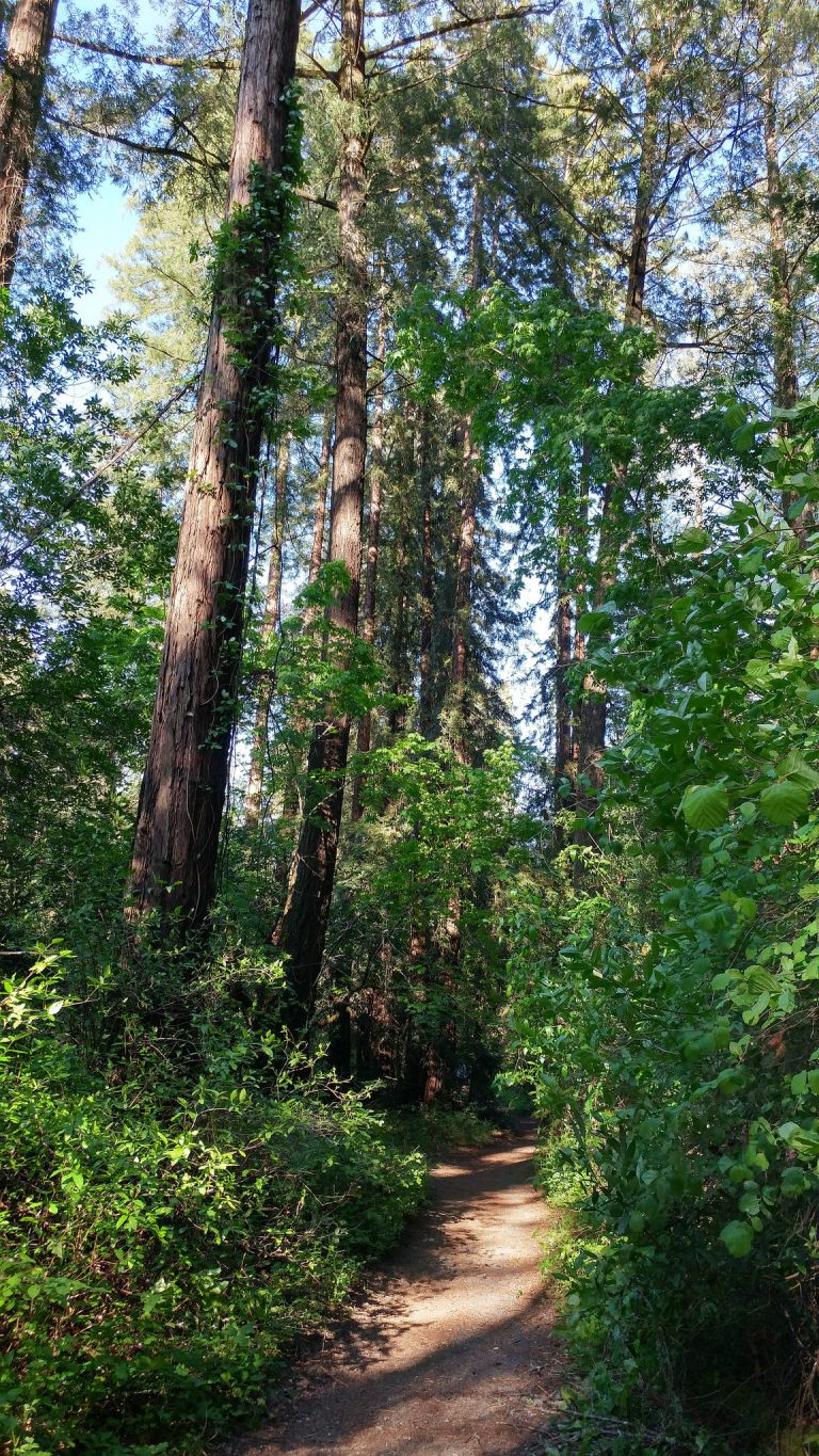 41422240192_6e46fdd0bf_k