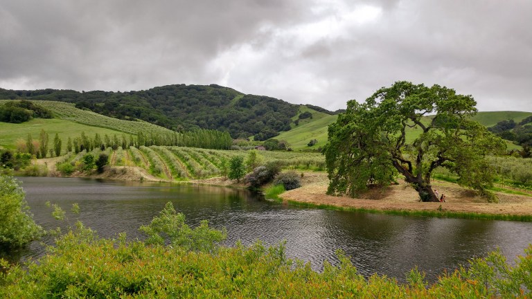 41726638882_157c9b7236_k