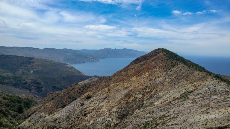 28096168658_f60dc3e3c7_o-2