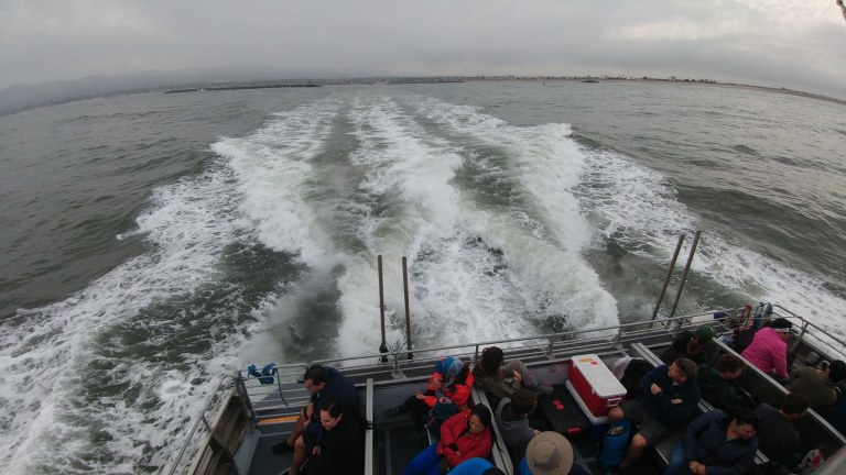 40160219670_9d35e550b3_k