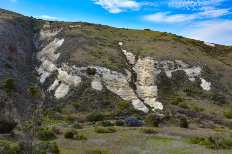 40309259120_8099a628f1_k