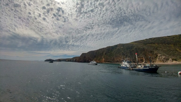 41067716225_003f920d4a_k