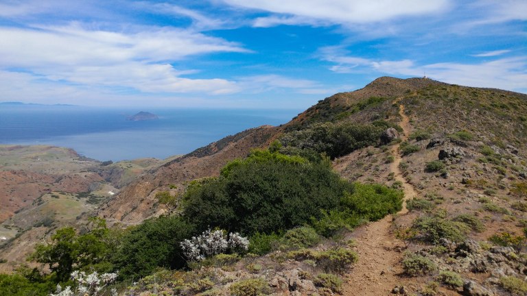 41922980622_454ff85734_o-2