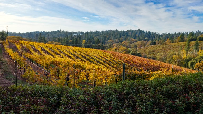 38497877532_f4383e3b99_o