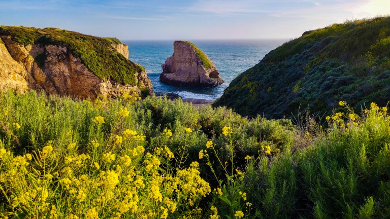 40748029615_cd96e20109_k