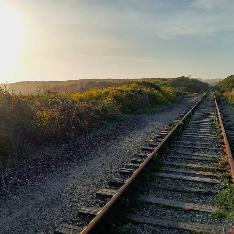 40929110534_246d08d36b_b