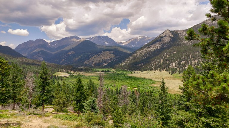 28386908707_91d603a8ea_o