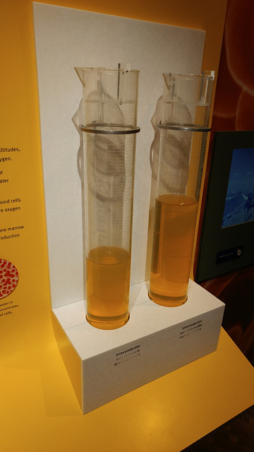 28416804297_8682f7180e_z