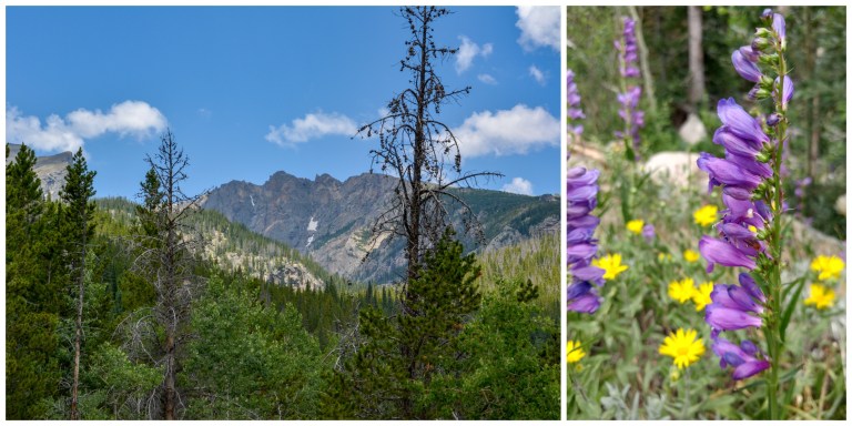 GlacierGorgeTrailhead