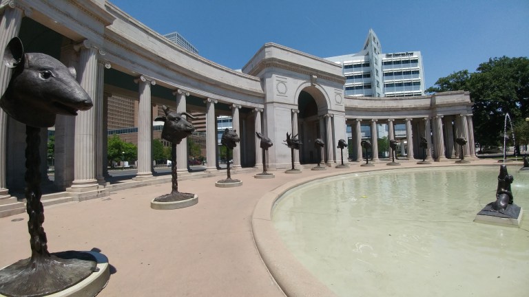 42382483845_ea40b4b30d_k