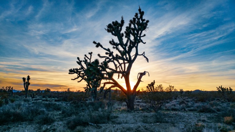 LRM_EXPORT_6713751193843_20190401_204003753