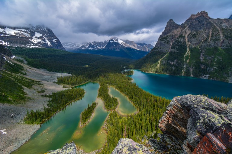 LakeOHaraOpabinPlateau-1